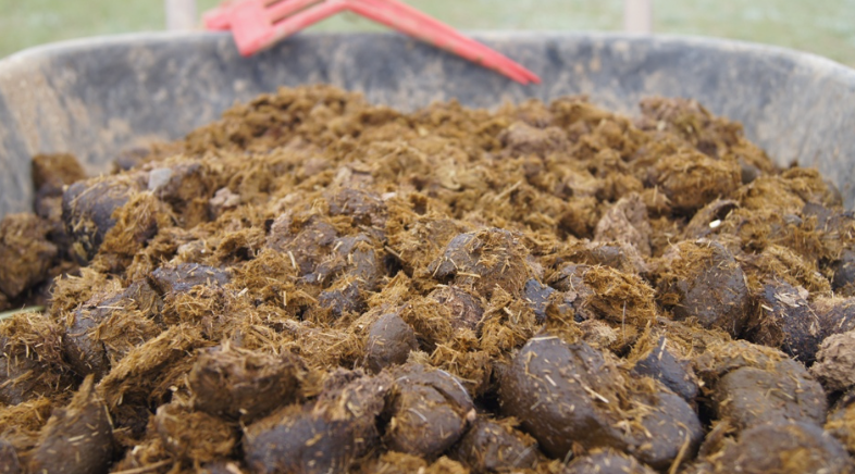 Artisanal Fertiliser - Image 2