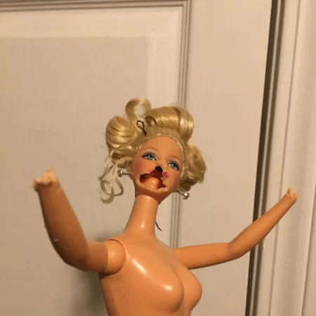 Surprise Doll Makeovers